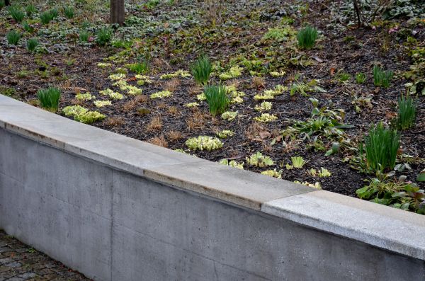 Cost of Concrete Wall Construction in Mentor