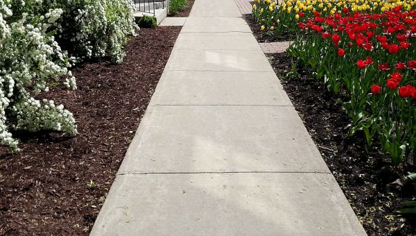 Cost of Concrete Sidewalk Service in Mentor